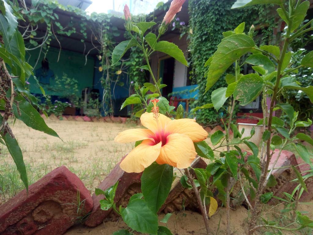 Rk Guest House Pushkar Ngoại thất bức ảnh